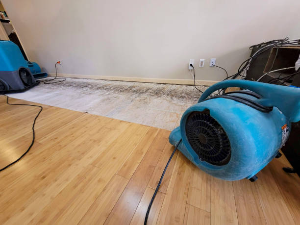 Professional Basement Flood Cleanup technician working in Trinchera, CO